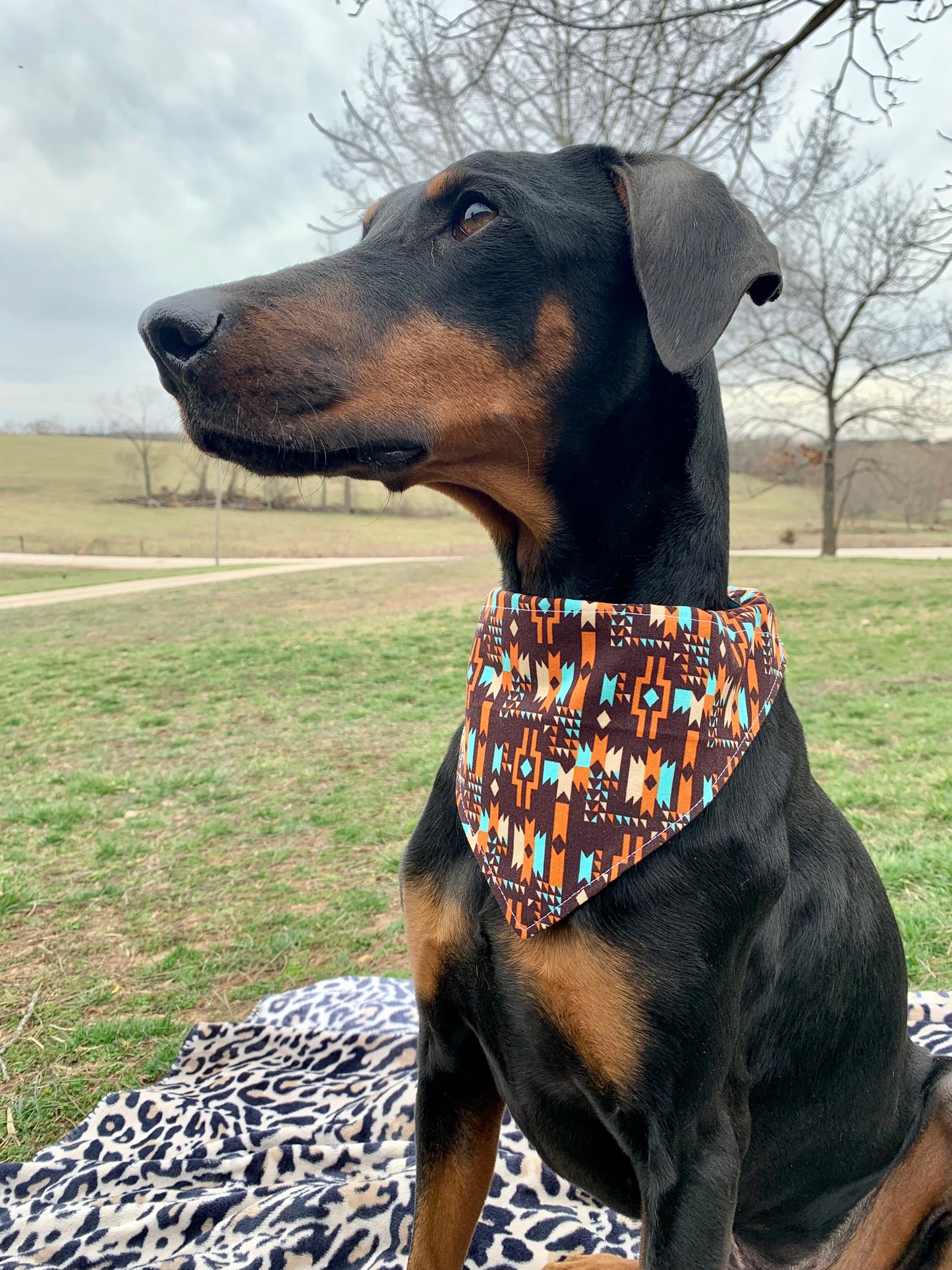 Aztec Bandana