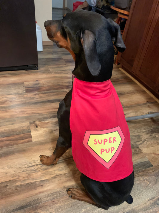 Super Pup Cape