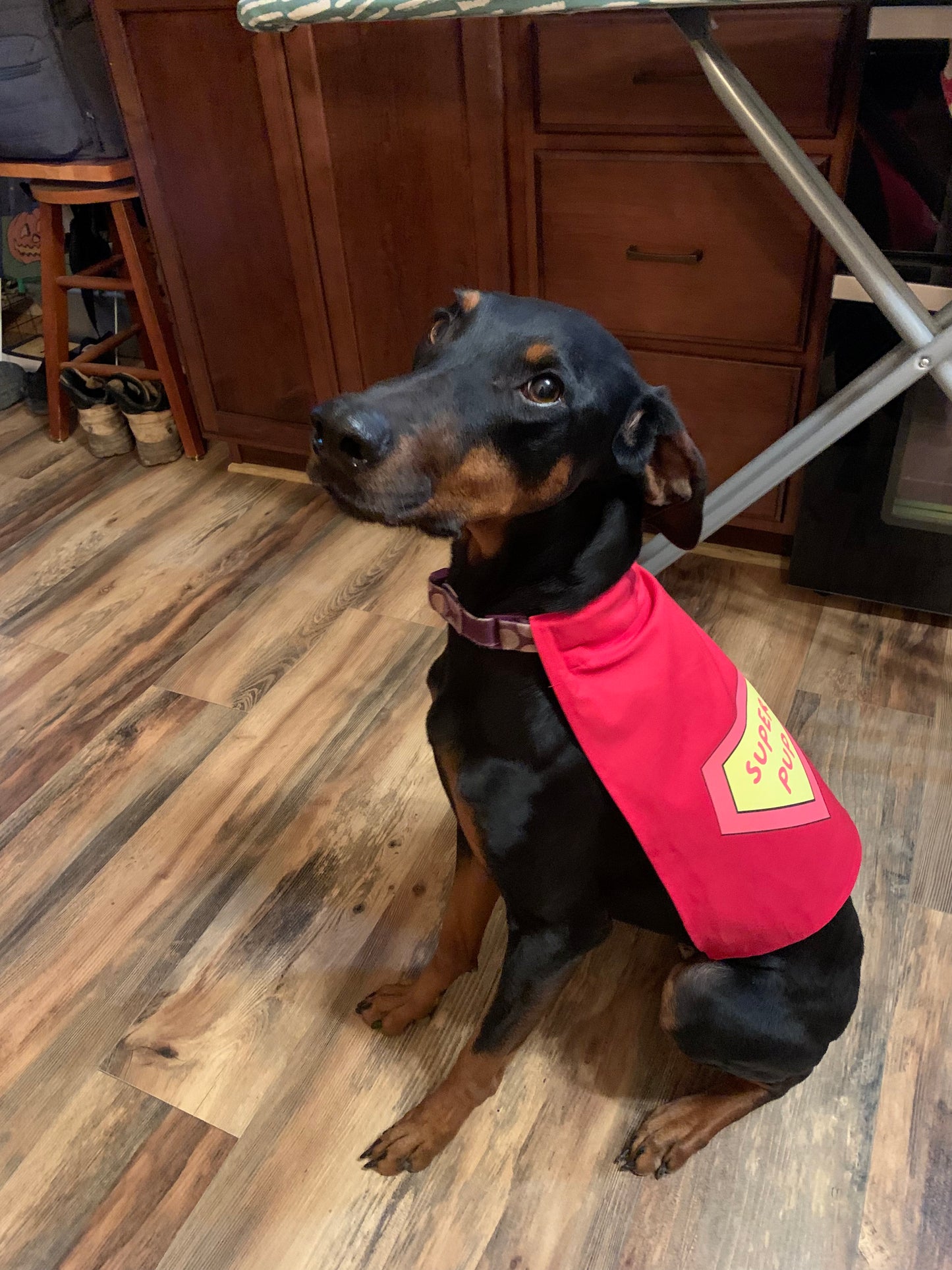 Super Pup Cape