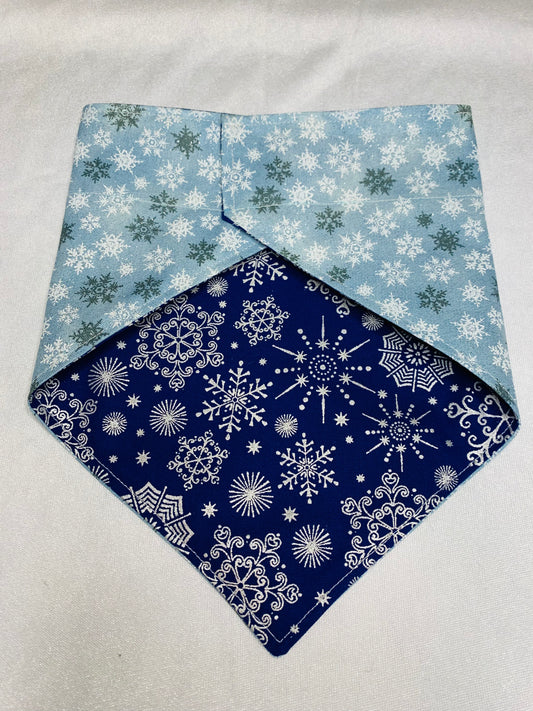 Sparkling Snowflakes