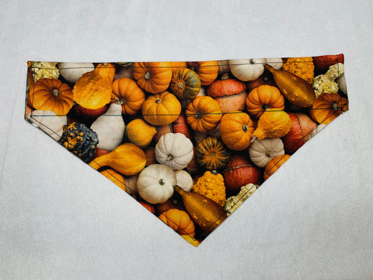 Pumpkins & Plaid Bandana