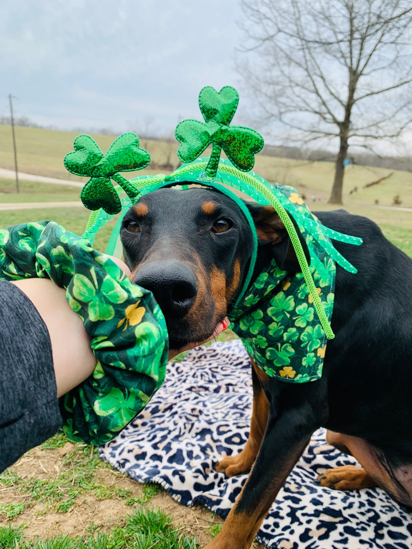 Shamrocks Scrunchie